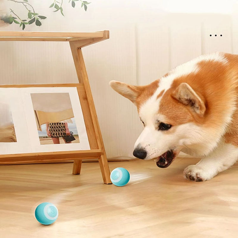 Golu&Moti Smart Ball™