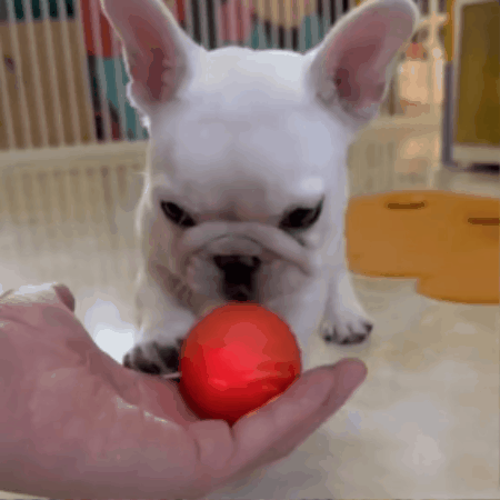Golu&Moti Smart Ball™