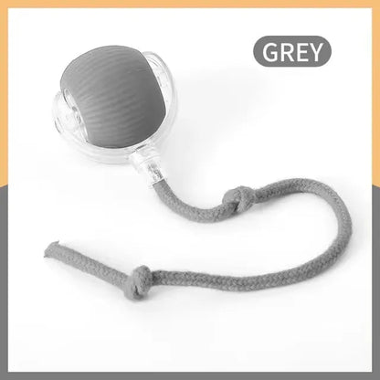 Interactive Ball with Tail™ – A Chase They Can’t Resist!