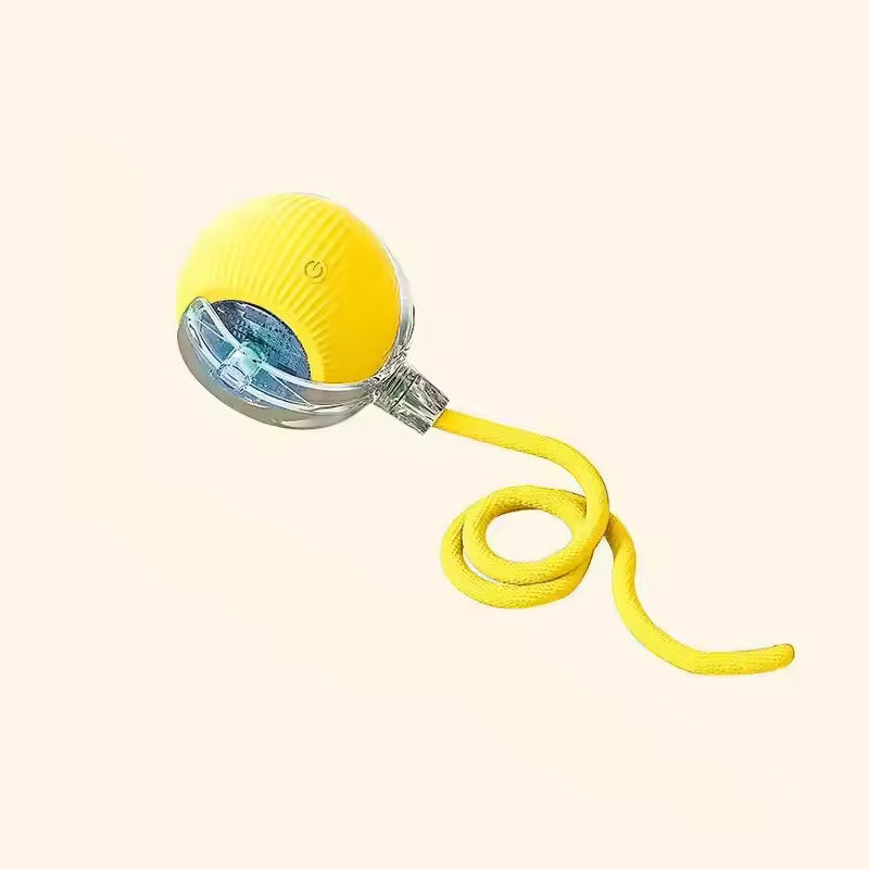 Interactive Ball with Tail™ – A Chase They Can’t Resist!